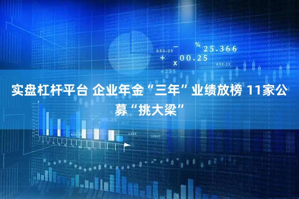 实盘杠杆平台 企业年金“三年”业绩放榜 11家公募“挑大梁”