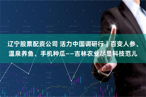 辽宁股票配资公司 活力中国调研行｜百变人参、温泉养鱼、手机种瓜——吉林农业尽显科技范儿